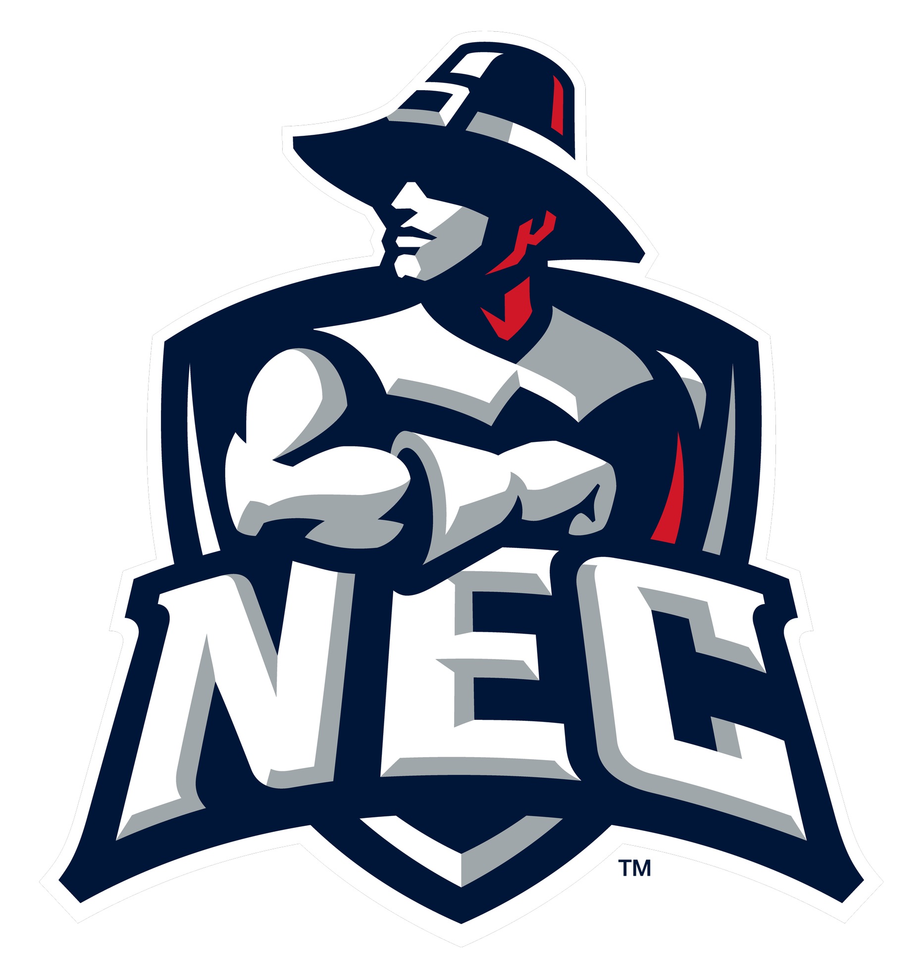New England College (Men's) logo