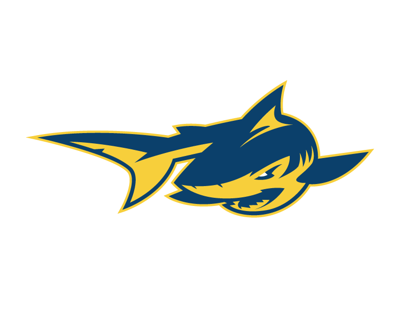 #1N Simmons University logo