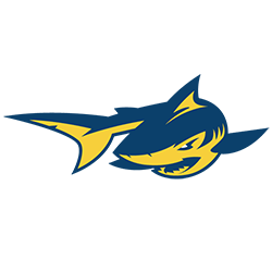 Simmons (Women) logo