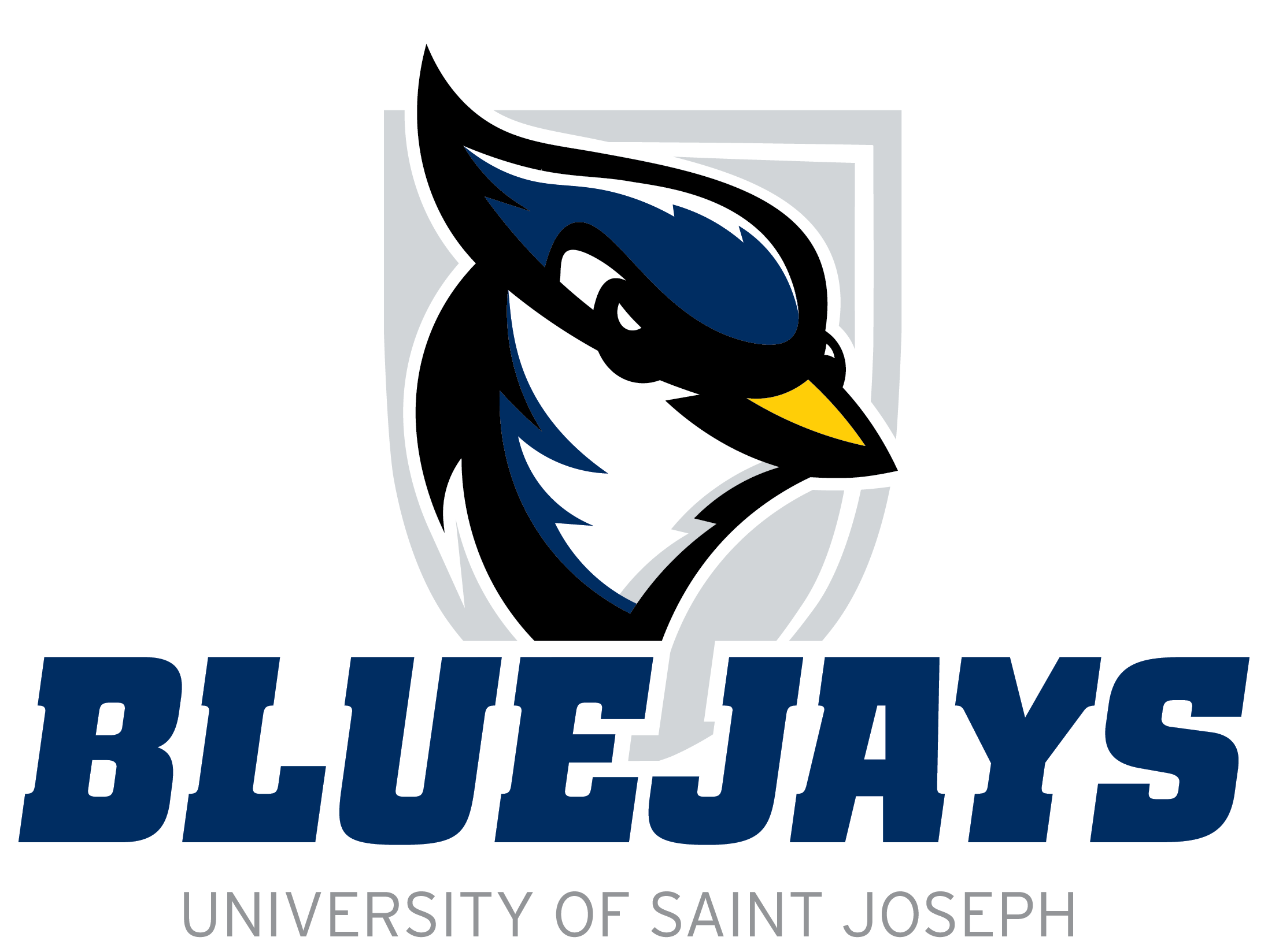 #6 University of Saint Joseph (CT) logo